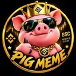 PIG COIN