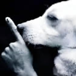 Shh