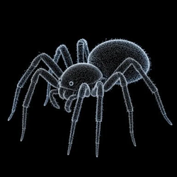 SPIDER