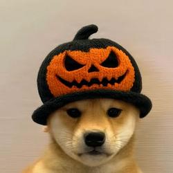 Hallowinu