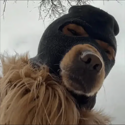 SKI
