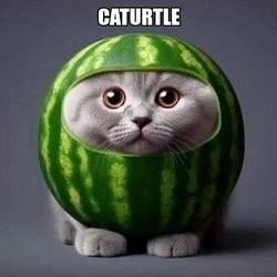 caturtle