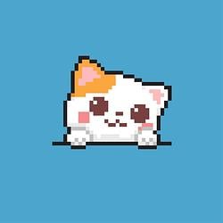 catbot / SOL
