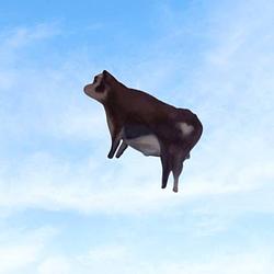 Mooner