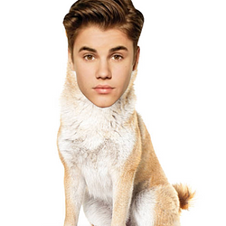 JUSTINU