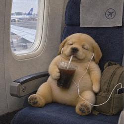 PUPFUN