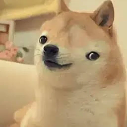 QI