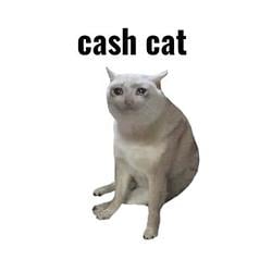 CASHCAT / SOL