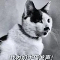 Calico