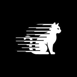 CCAT