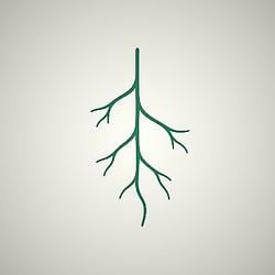 root
