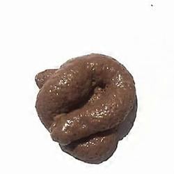 Dipshit