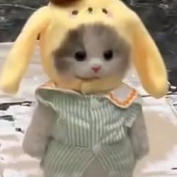 Popompurin