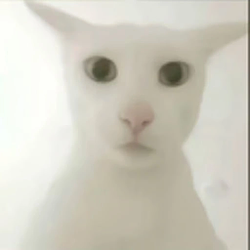 老吴