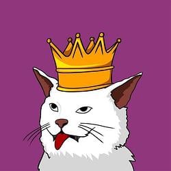 KingKat / SOL