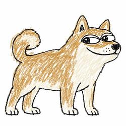 ToadDoge