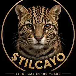 TILCAYO
