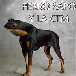 PERROSAPO