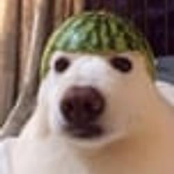 MELON / SOL