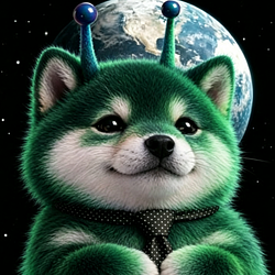 ROBIN INU / WETH