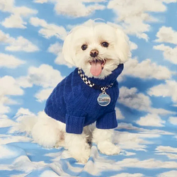 Dogfluffy