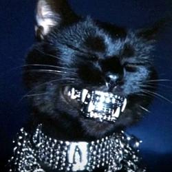 $GOTHCAT
