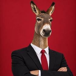 JACKASS