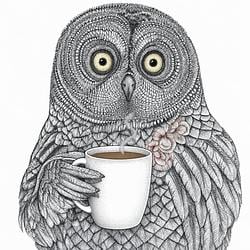 OWLNIGHT