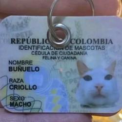 CRIOLLO