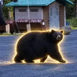 CHUNGUS