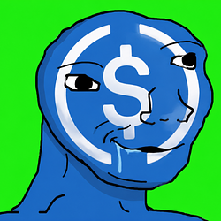 USDC / USDC
