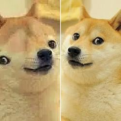 INU