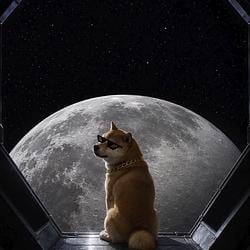 MoonDoge / SOL