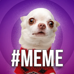 #meme