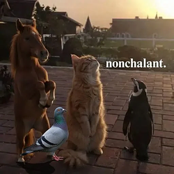 Nonchalant / SOL