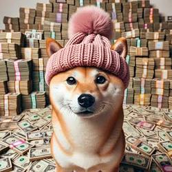 dogestack / SOL