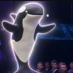 orca