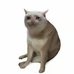 CASHCAT