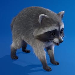 JIMOTHY