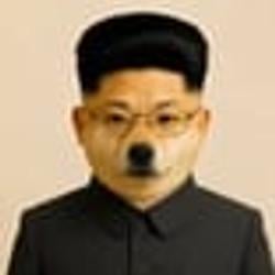 INU / SOL