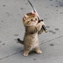 CATANA