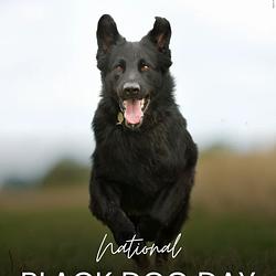 BDD