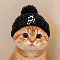 CATPAID