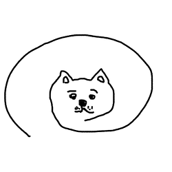 d@g / SOL