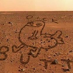 dickbutt / BNB