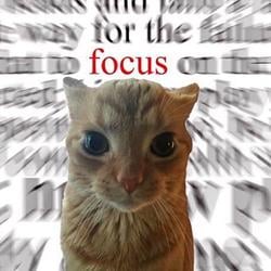 focus