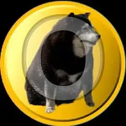 Owencoin