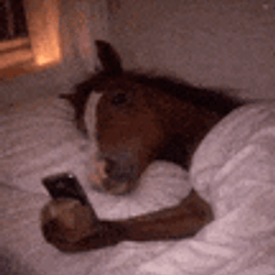 PonyDaddy / SOL