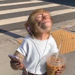 Vibeshift