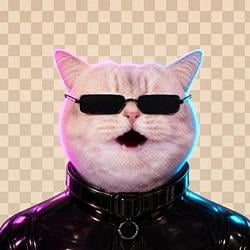 VRAXNFT